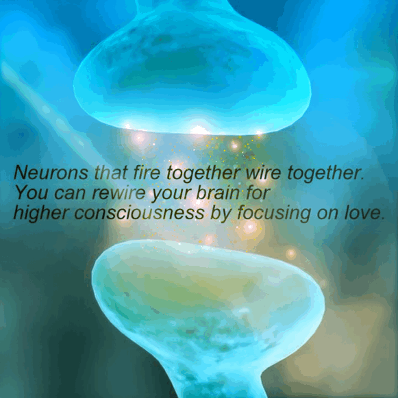 2cca4328ee3505a1647cfe8be26ce923